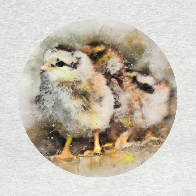 Two chicks just hatched by WesternExposure